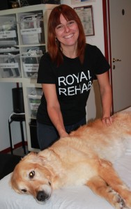 Royal rehab friskvård och massage